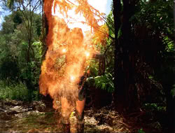 extant_HTLJ_4x14-ArmageddonNowPart2_01056