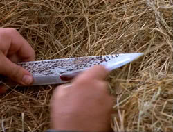 extant_HTLJ_4x14-ArmageddonNowPart2_01283