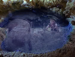 extant_HTLJ_4x14-ArmageddonNowPart2_01508