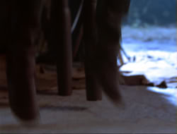 extant_HTLJ_4x14-ArmageddonNowPart2_02244