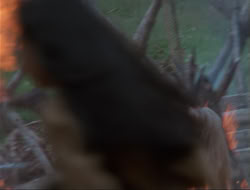 extant_HTLJ_4x14-ArmageddonNowPart2_02618