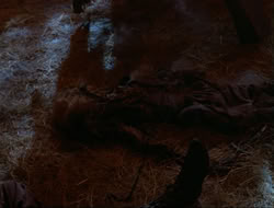 extant_HTLJ_4x14-ArmageddonNowPart2_03015