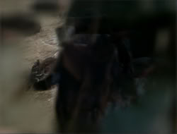 extant_HTLJ_4x14-ArmageddonNowPart2_03106