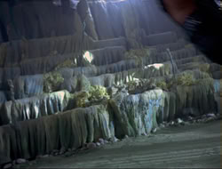 extant_HTLJ_4x14-ArmageddonNowPart2_03763