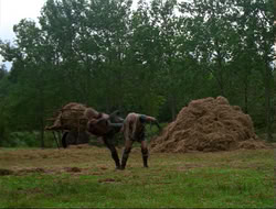 extant_HTLJ_4x14-ArmageddonNowPart2_03950