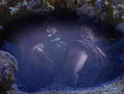 extant_HTLJ_4x14-ArmageddonNowPart2_04049