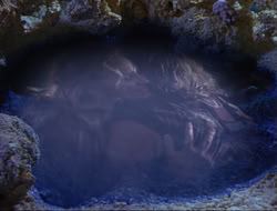 extant_HTLJ_4x14-ArmageddonNowPart2_04052