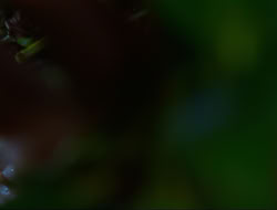 extant_HTLJ_4x15-YesVirginiaThereIsAHercules_00256