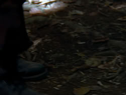extant_HTLJ_4x15-YesVirginiaThereIsAHercules_00275