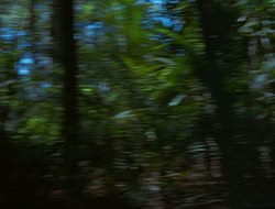 extant_HTLJ_4x15-YesVirginiaThereIsAHercules_00300
