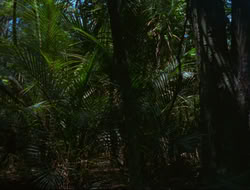 extant_HTLJ_4x15-YesVirginiaThereIsAHercules_00301