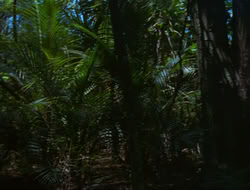 extant_HTLJ_4x15-YesVirginiaThereIsAHercules_00302