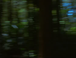 extant_HTLJ_4x15-YesVirginiaThereIsAHercules_00303