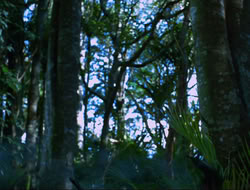 extant_HTLJ_4x15-YesVirginiaThereIsAHercules_00321