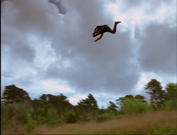 extant_HTLJ_4x15-YesVirginiaThereIsAHercules_01197