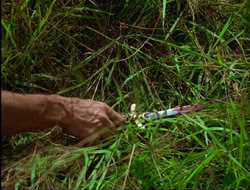extant_HTLJ_4x15-YesVirginiaThereIsAHercules_01242
