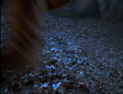 extant_HTLJ_4x15-YesVirginiaThereIsAHercules_01405