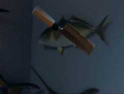 extant_HTLJ_4x15-YesVirginiaThereIsAHercules_01724