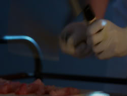 extant_HTLJ_4x15-YesVirginiaThereIsAHercules_01729