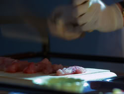 extant_HTLJ_4x15-YesVirginiaThereIsAHercules_01730