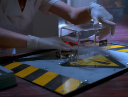 extant_HTLJ_4x15-YesVirginiaThereIsAHercules_01994