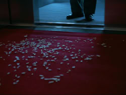 extant_HTLJ_4x15-YesVirginiaThereIsAHercules_02086