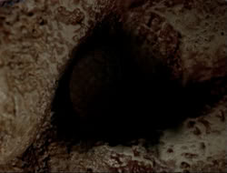 extant_HTLJ_4x15-YesVirginiaThereIsAHercules_03984