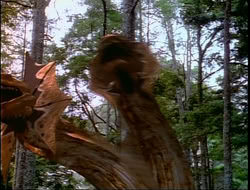 extant_HTLJ_4x15-YesVirginiaThereIsAHercules_04376