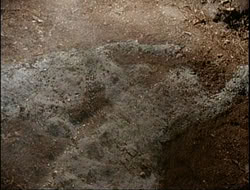 extant_HTLJ_4x15-YesVirginiaThereIsAHercules_04388