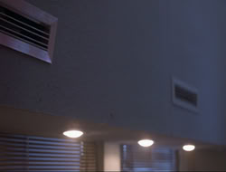 extant_HTLJ_4x15-YesVirginiaThereIsAHercules_04584