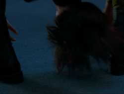 extant_HTLJ_4x15-YesVirginiaThereIsAHercules_04751