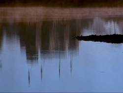 extant_HTLJ_4x16-Porkules_0002