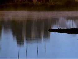 extant_HTLJ_4x16-Porkules_0003