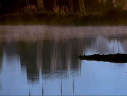 extant_HTLJ_4x16-Porkules_0004