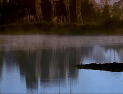 extant_HTLJ_4x16-Porkules_0005