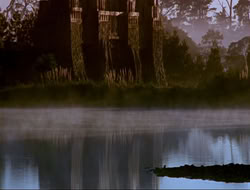 extant_HTLJ_4x16-Porkules_0007
