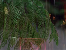 extant_HTLJ_4x16-Porkules_0232