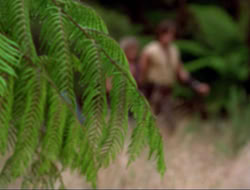 extant_HTLJ_4x16-Porkules_0237