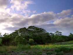 extant_HTLJ_4x16-Porkules_0319