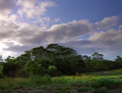 extant_HTLJ_4x16-Porkules_0321