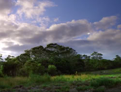 extant_HTLJ_4x16-Porkules_0323