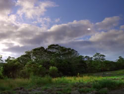 extant_HTLJ_4x16-Porkules_0324