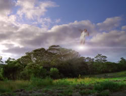 extant_HTLJ_4x16-Porkules_0325