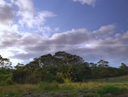 extant_HTLJ_4x16-Porkules_0434