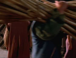 extant_HTLJ_4x16-Porkules_0475
