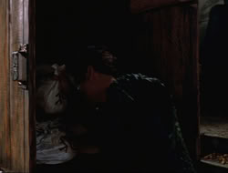 extant_HTLJ_4x16-Porkules_0524