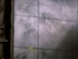 extant_HTLJ_4x16-Porkules_0711