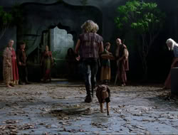 extant_HTLJ_4x16-Porkules_0841
