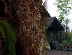 extant_HTLJ_4x16-Porkules_1111