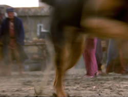 extant_HTLJ_4x16-Porkules_1417
